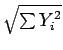 $\sqrt{\sum Y_i^2}$