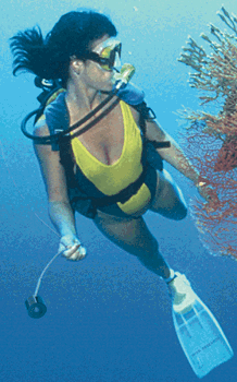 [ A diver with an International Light detector - 48 KB ]