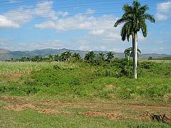 Trinidad - udoli cukrovaru
