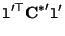 $\displaystyle {\tt l}'^\top {{\bf C}^*}' {\tt l}'$