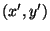 $(x',y')$