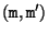 $({\tt m, m'})$