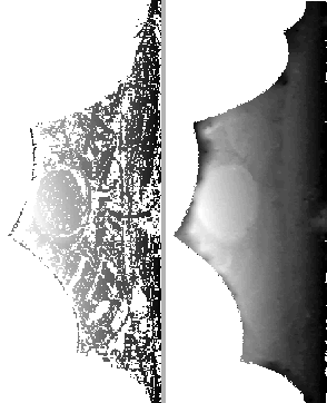 \begin{figure}\centerline{
\psfig{figure=stereo/MPdesk.rawdisp.ps, width=3.2cm,...
...}
\psfig{figure=stereo/MPdesk.disp.ps, width=3.2cm, height=8cm}
} \end{figure}