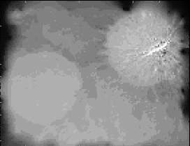 \begin{figure}\centerline{
\psfig{figure=stereo/MPdesk.depth.ps, width=6cm}
} \end{figure}